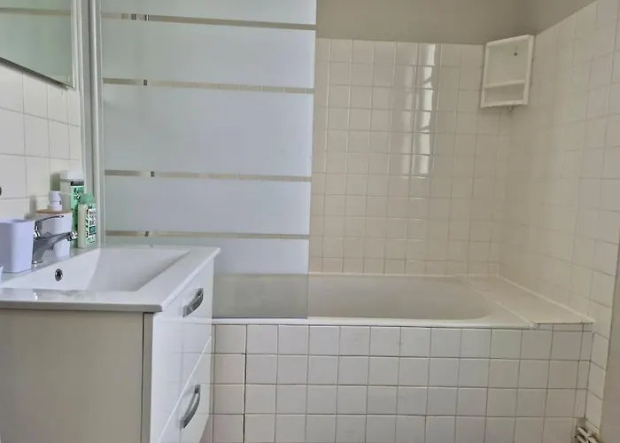 Les Carmes أنجير